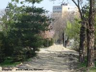 Imagine atasata: Bega - 2014.03.18 - 17.jpg